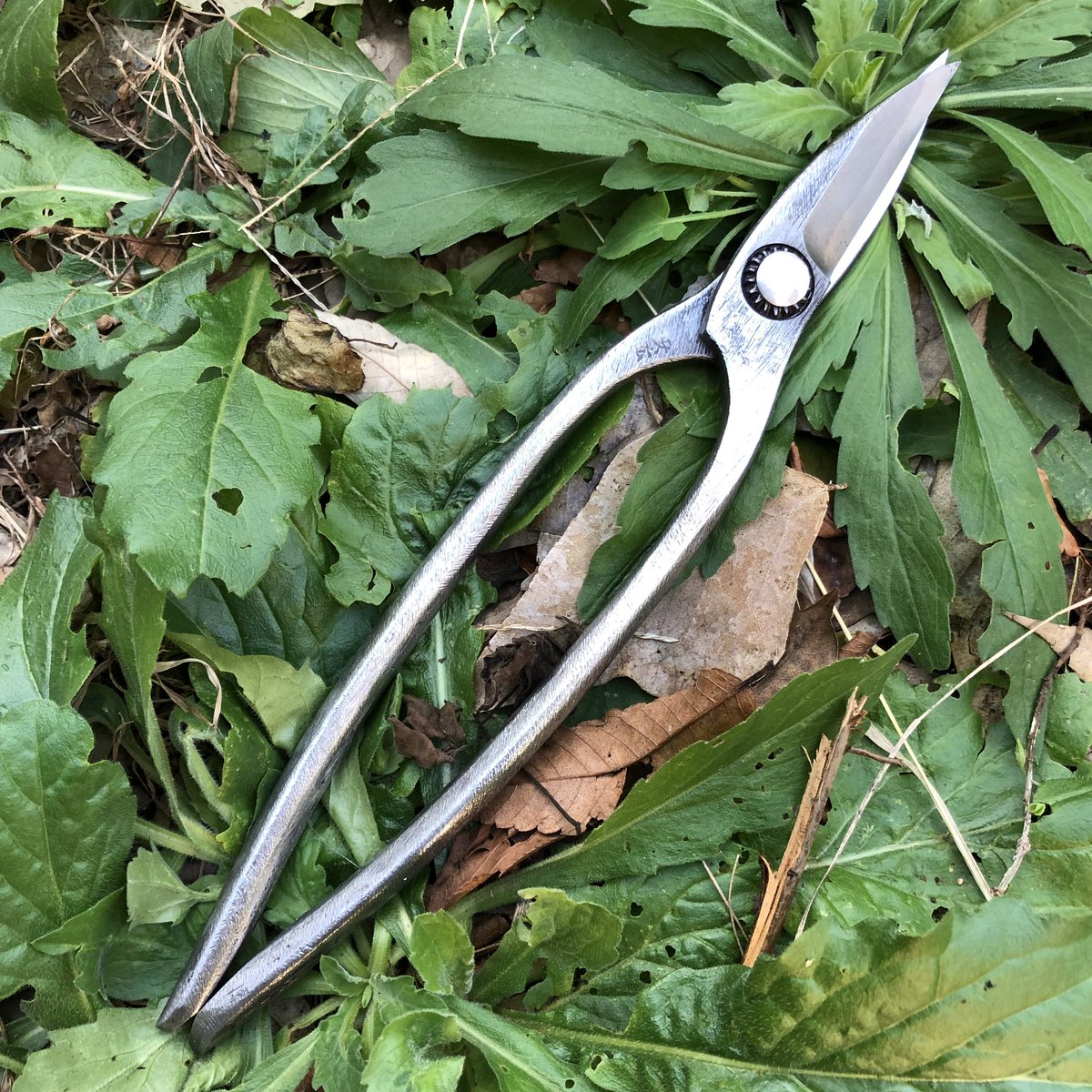 安広　切箸　キリバシ　植木鋏 安広 キリバシ 切箸 植木鋏 庭師鋏 - メルカリ