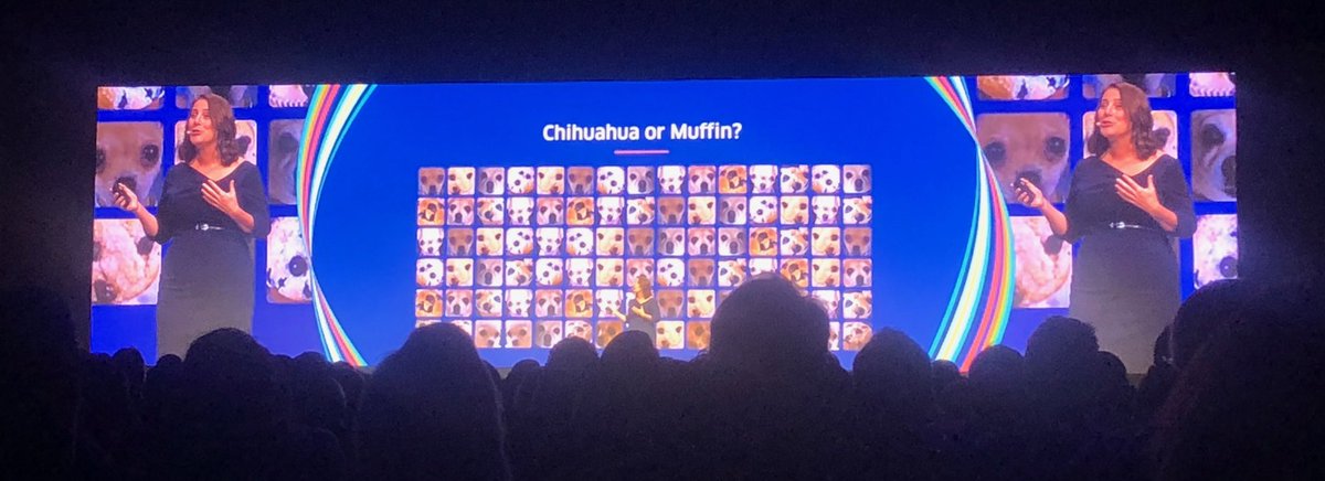 BatesMichell's tweet image. Is it a Chihuahua or a Muffin? The power of machine learning with Workday #wdayrising