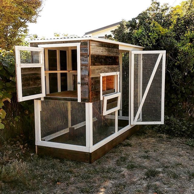 PaulRarePoultry's tweet photo. #CustomCoops #Coop #Coops #CoopandRun #HenHouse #ChickenRun #ChickenLadder #ChickenRoost #EggBoxes #NestingBoxes #ChickenWire #DesignBuild #DeepBed #DeepLitter #ChickenRamp #AutoDoor #ChickenAutoDoor #DeepBedHenHouse #ReclaimedRedwood #Redwood #RunDoor #CleanoutDoor #FeedSto… https://t.co/7JFMM471AP