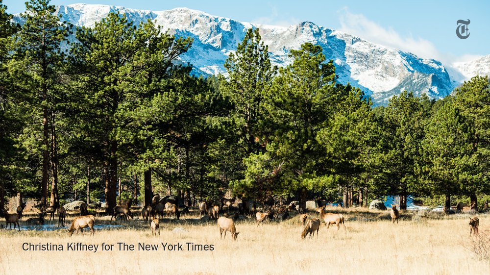 Boulder can be pricey, but not for our @FrugalTraveler. nyti.ms/2DBuMeH