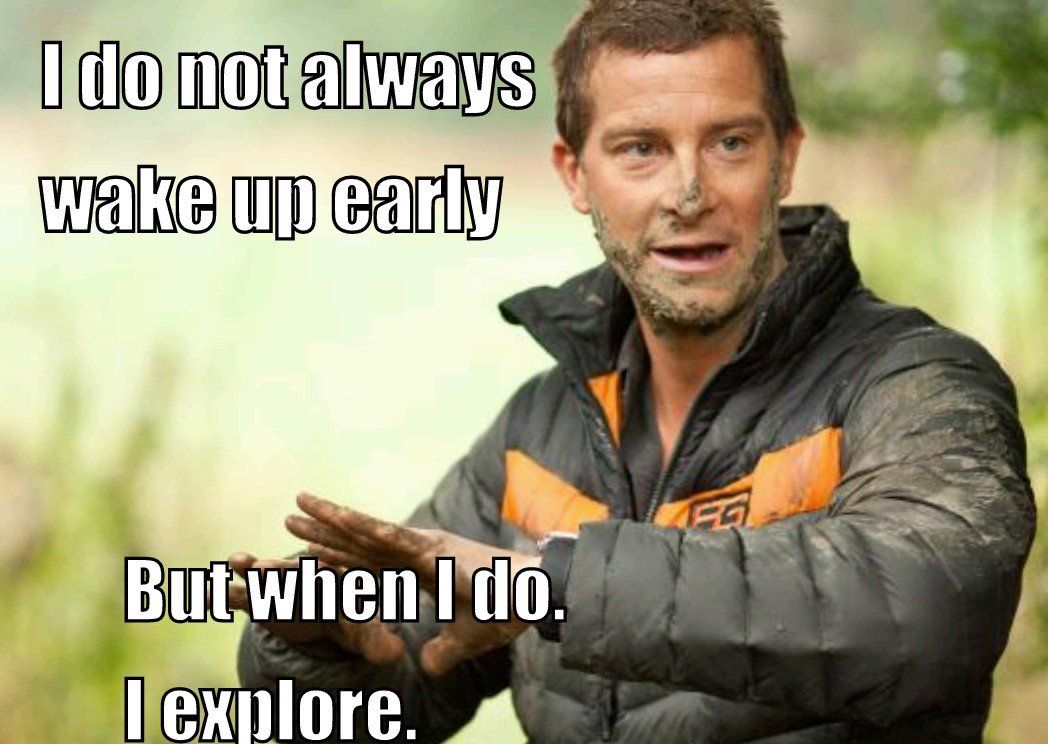 реалити шоу на пятнице на острове. май абрикосов 2022. экс на пляже реалити шоу. выживальщик беар гриллс. выживалити участники фото.