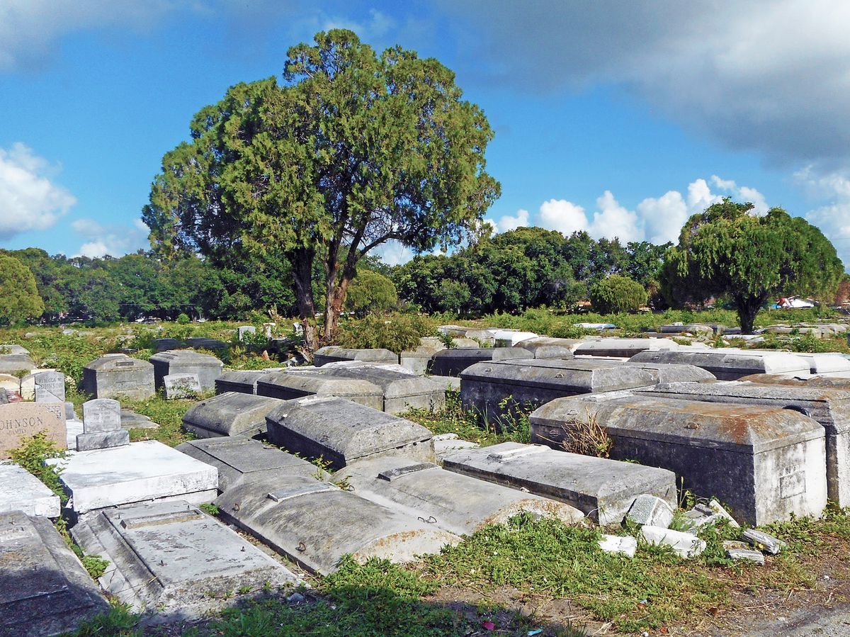 Salesguy_Neil's tweet image. Landscape preservation’s urgent challenge: Civil rights historic sites buff.ly/2JX3u33 #History #landscape #preservation #placemaking #cultural #planning #historical #CivilRights #HumanRights