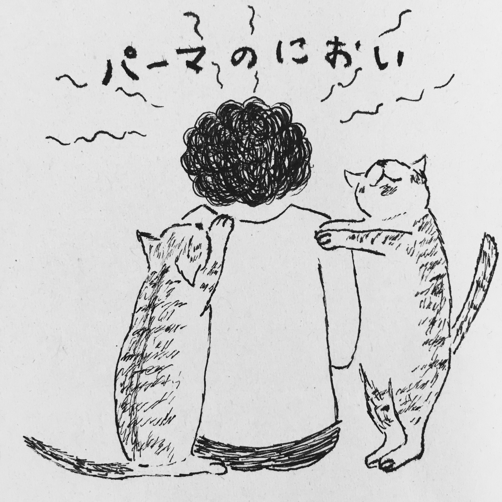 タラおサバこ على تويتر 10年ぶりのパーマ クルクルよくかかった仕上がりに満足 しかし猫は不満足 イラスト 猫イラスト 猫絵 3コママンガ マンガ 猫エッセイ ペン画 手書きイラスト T Co Egfnntxgka تويتر