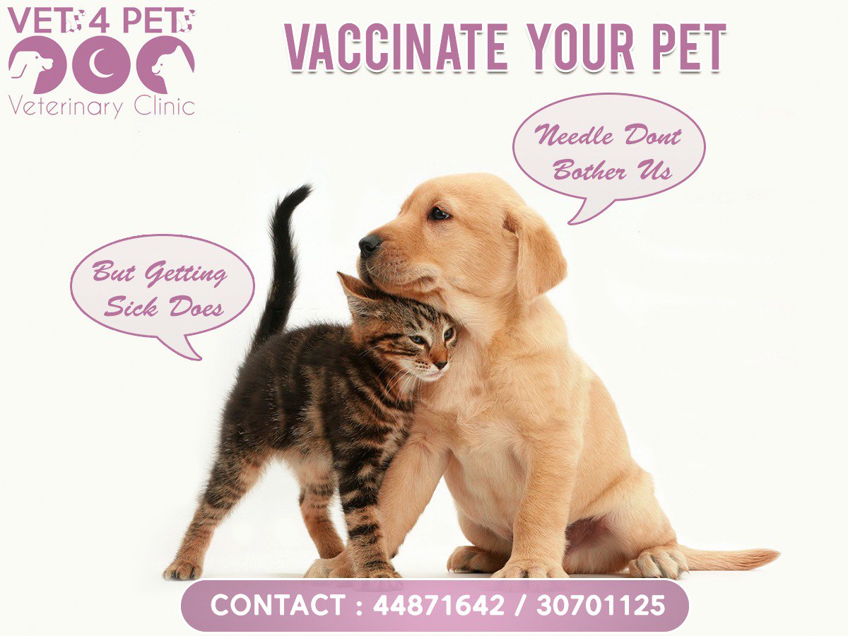 vets4pets vaccination offers 2018