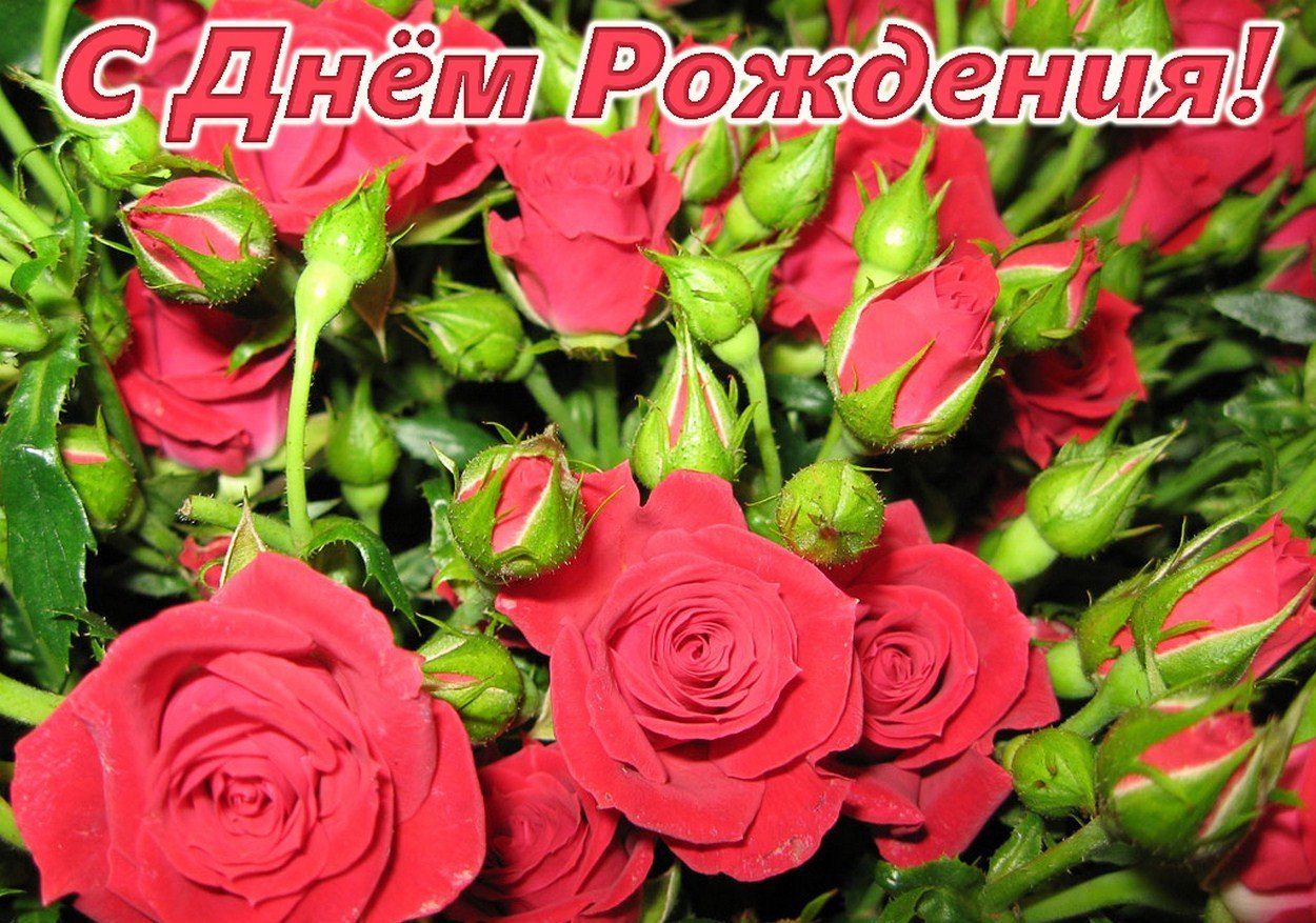 Открытки с пожеланием с днем рождения фото, прикольные
