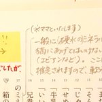 そこまで考えるとは作者も脱帽…!校正者さんの見解が深すぎる…