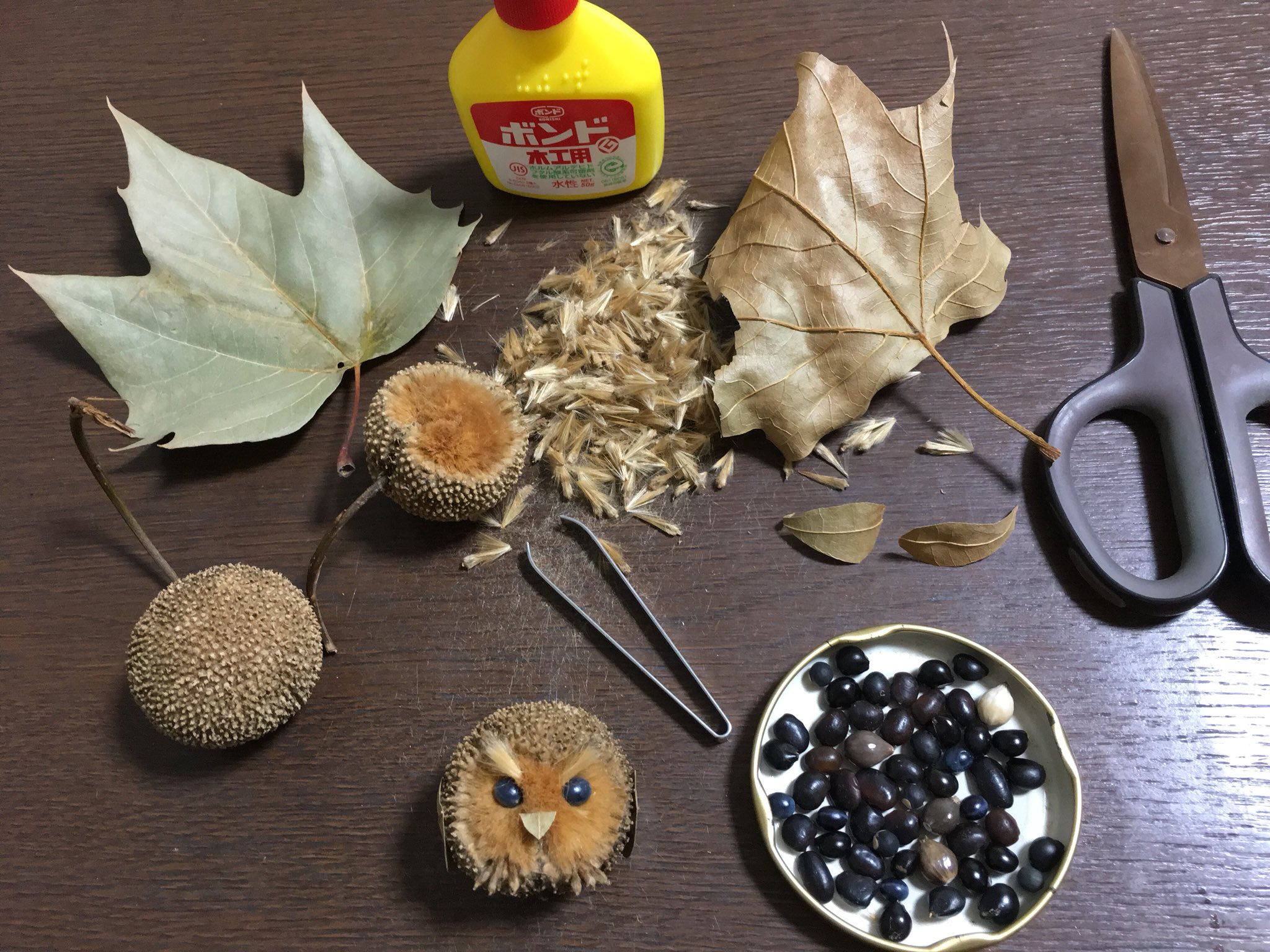 تويتر Inori على تويتر お知らせ 11月17日 土 千葉県松戸市の やおや旬 さんhttps T Co Brgj1hpjy0で開催のうさとの服展示会 Amp マルシェで 草花あそびws をします スズカケノキの実の工作を予定しています 10時 17時ですが 実がなくなると終了し