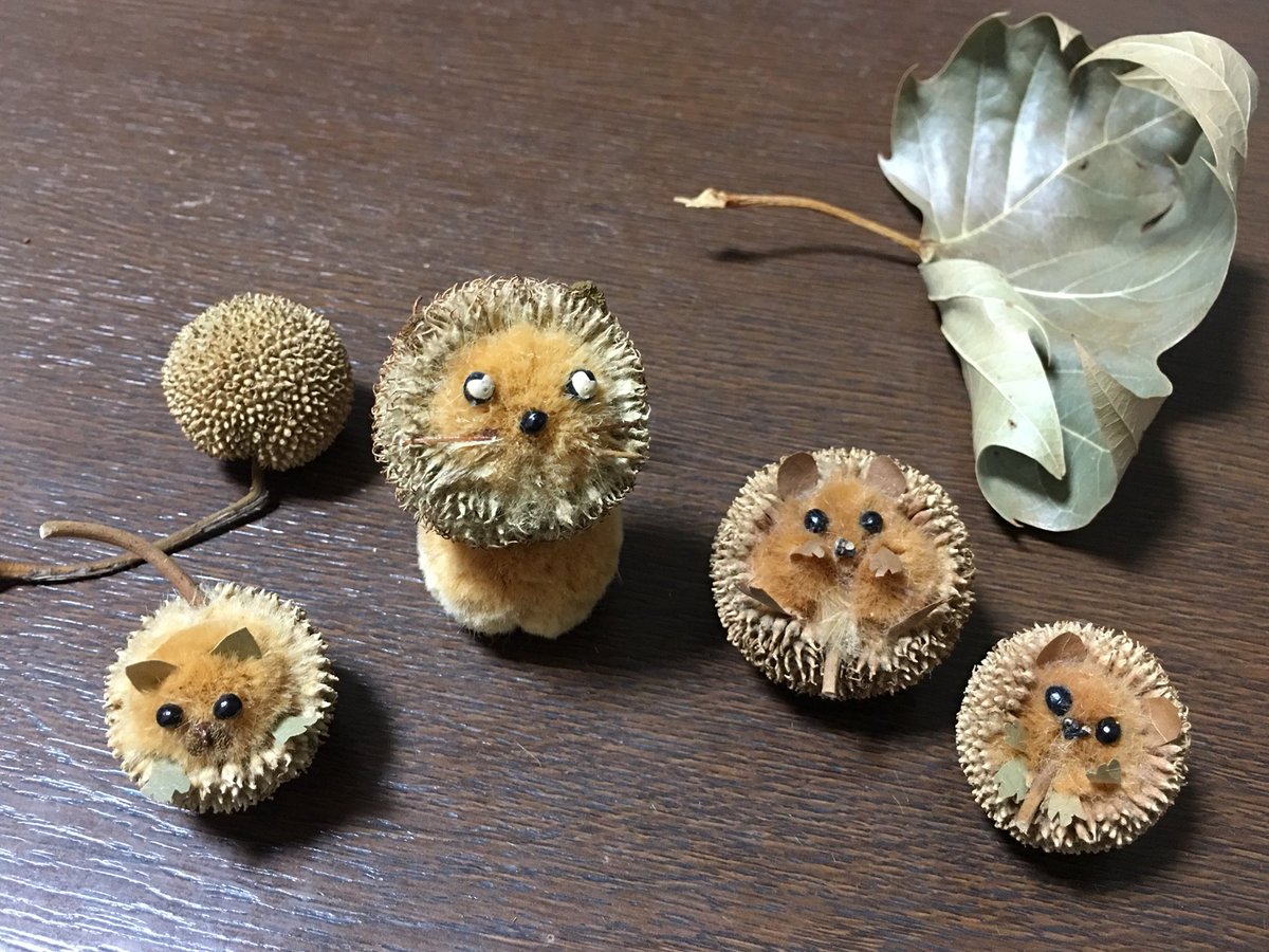 Inori Yuukisbaachan1 スズカケノキの実を持って全国行脚したいところです W Twitter