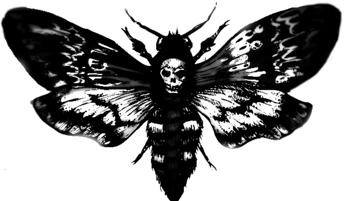 deathsheadpress's tweet photo. Read your way to madness.... 

https://t.co/G8g2ZrpOff https://t.co/OYgEpqoAMG