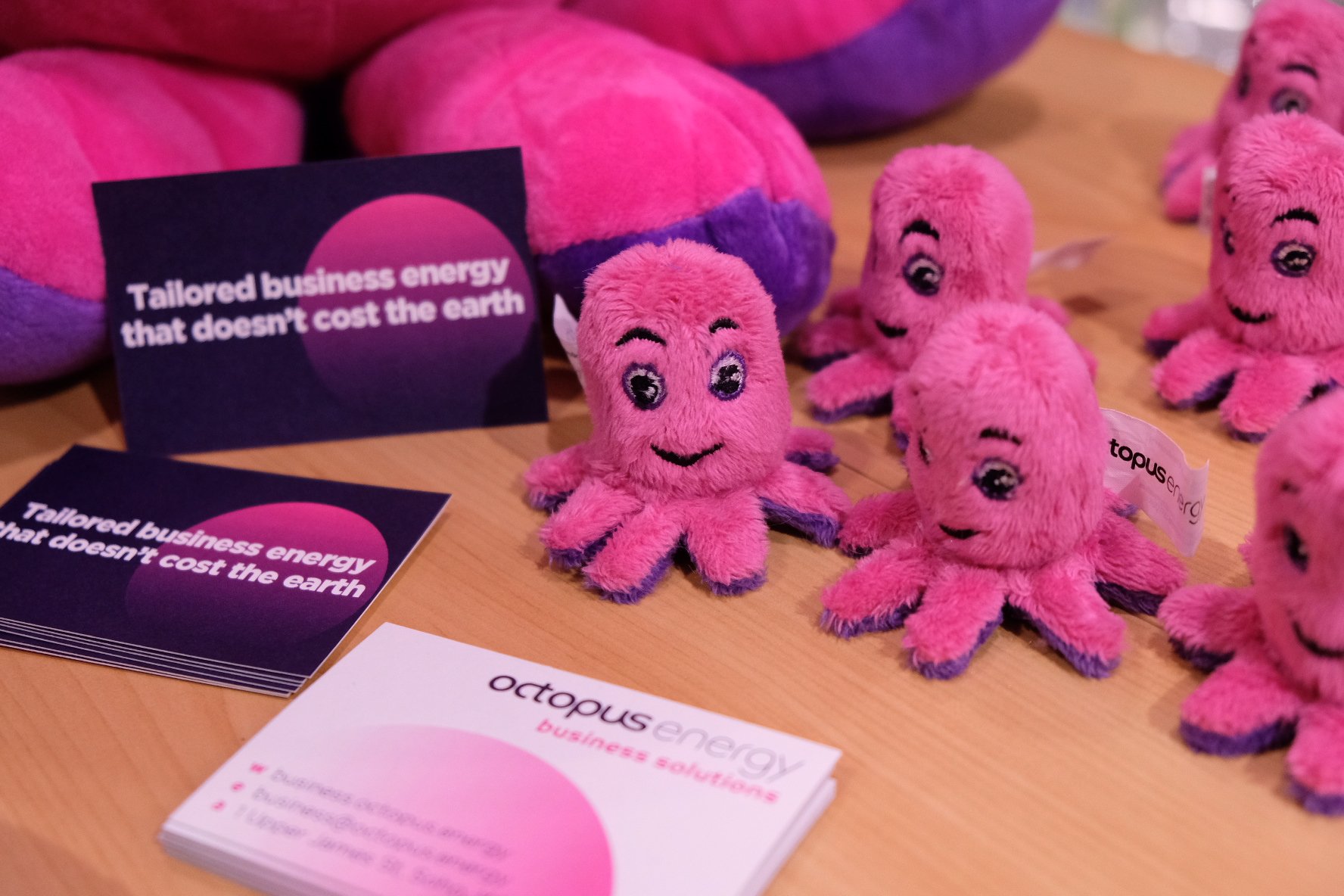 Octopus Energy Auf Twitter All Set Up At Thebusinessshow Calling All Small Business Owners Come Chat To Us About Taking Your Business 100 Green With Octopus Energy Our Very Cuddly