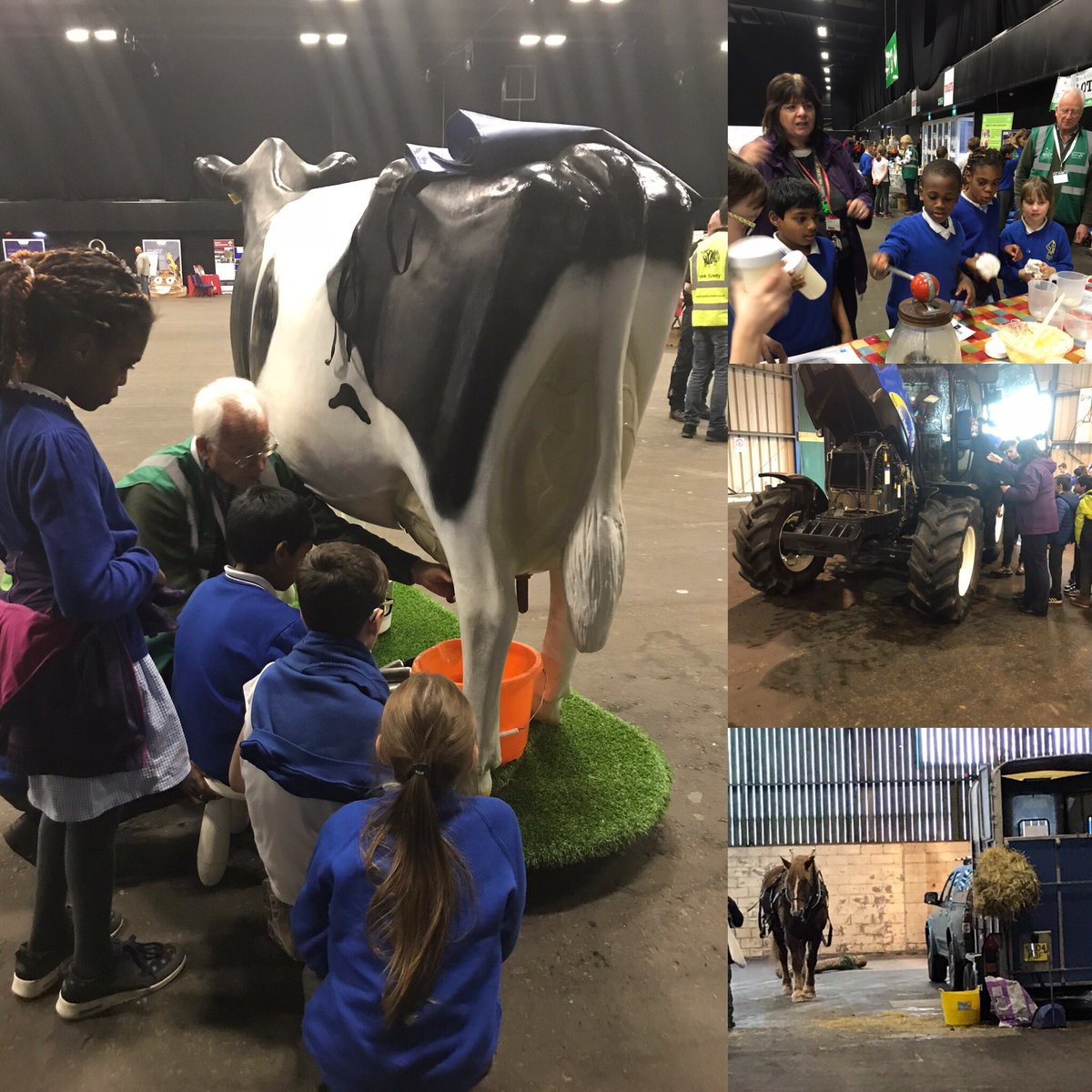 Great day helping out @TheRhet #foodandfarming event. Great to see city kids learn about our industry.