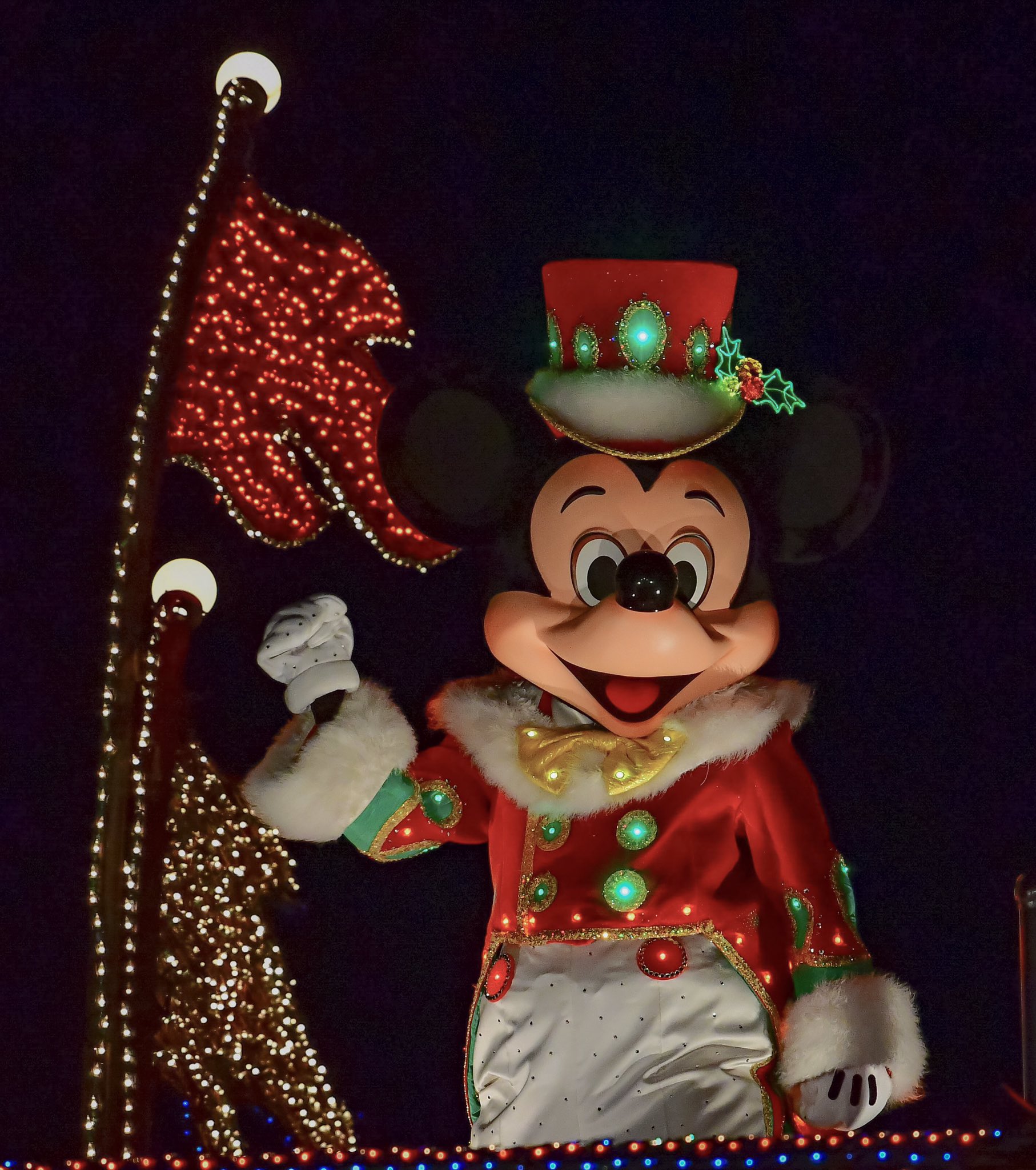 ドナかね すみれ ほぼ交換 A Twitter クリスマスバージョン ディズニーランド Tokyodisneyresort ディズニー写真部 ミッキー ミッキーマウス エレパレ エレクトリカルパレード エレクトリカルパレードドリームライツ ドリームライツ ディズニー夜景