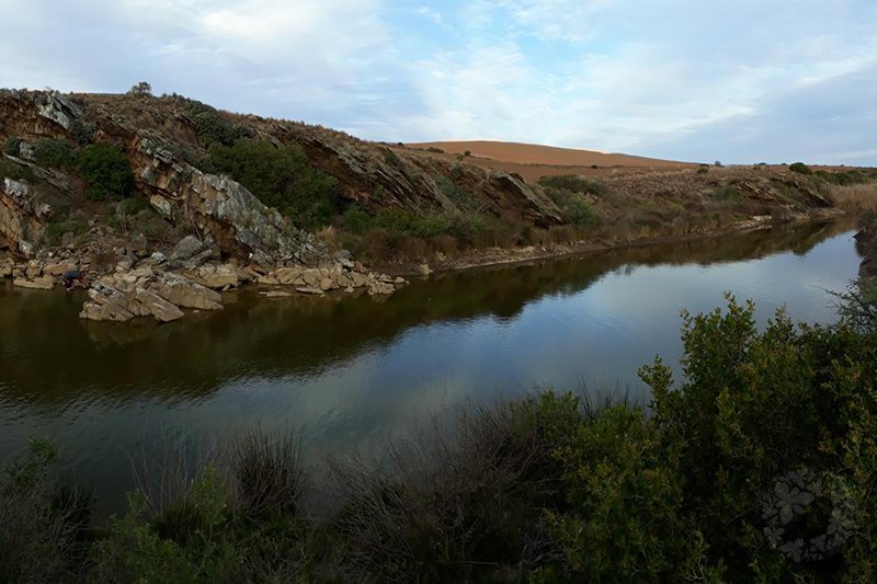 Renosterveld's tweet image. The ORCT has partnered with organisations such as the Freshwater Research Centre, @CapeNature1 and the #Bionerds to better understand the tiny #Heuningnes #Redfin #Minnow – and how it survives in #Renosterveld #watercourses: bit.ly/2FmzfDY