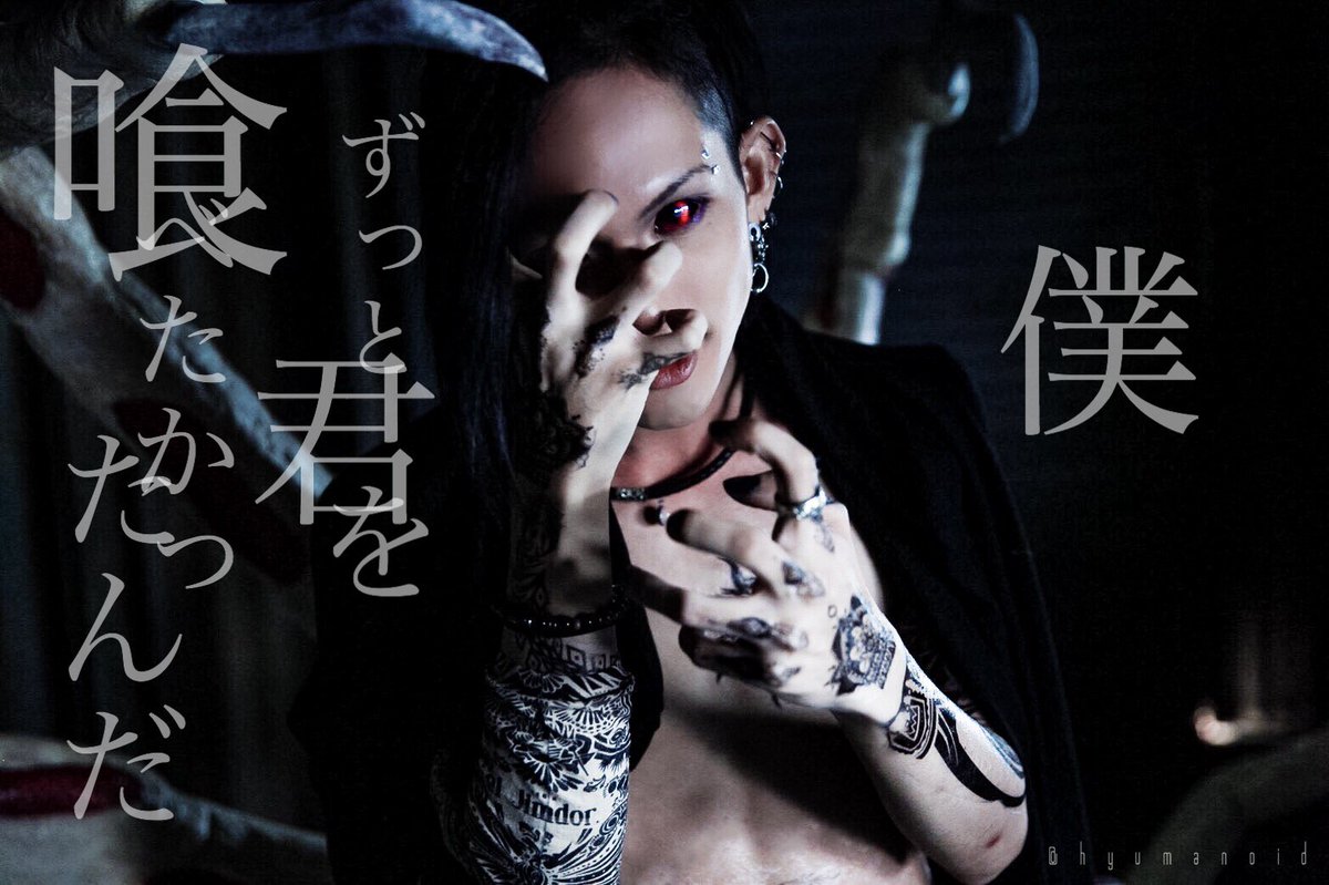 A6 Bf 81 95 93 Cocotbodol