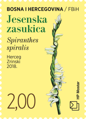 hpmostar's tweet photo. Rijetke biljne vrste na markama HP Mostar
Hrvatska pošta (HP) Mostar tiskala je dvije prigodne poštanske marke „Flora 2018.“ s motivima rijetkih biljnih vrsta. Jednostavna kupovina online preko web shopa https://t.co/B7I5PUFSYj  Više na: https://t.co/9QrPhod62n https://t.co/3vTlBoIIF1