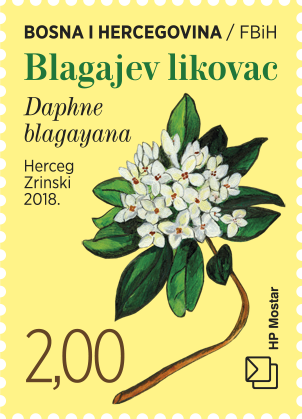 hpmostar's tweet photo. Rijetke biljne vrste na markama HP Mostar
Hrvatska pošta (HP) Mostar tiskala je dvije prigodne poštanske marke „Flora 2018.“ s motivima rijetkih biljnih vrsta. Jednostavna kupovina online preko web shopa https://t.co/B7I5PUFSYj  Više na: https://t.co/9QrPhod62n https://t.co/3vTlBoIIF1