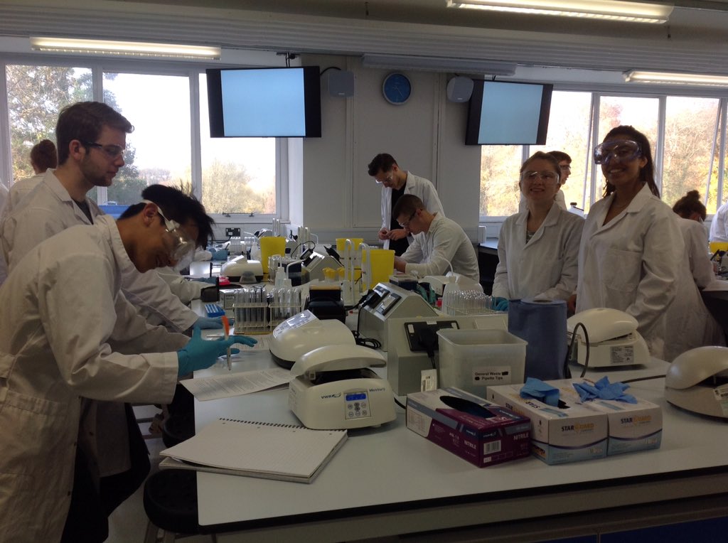 Students #biochemistry #genetics starting the #PM240 practical determining chitinase activity to determine antifungal activity in fruits 🍏🍐🍅 and determine allergenic risk of eating 🍏🍐🍅 for #latexfruitsyndrome patients @SwanseaMedicine @SwanseaUni