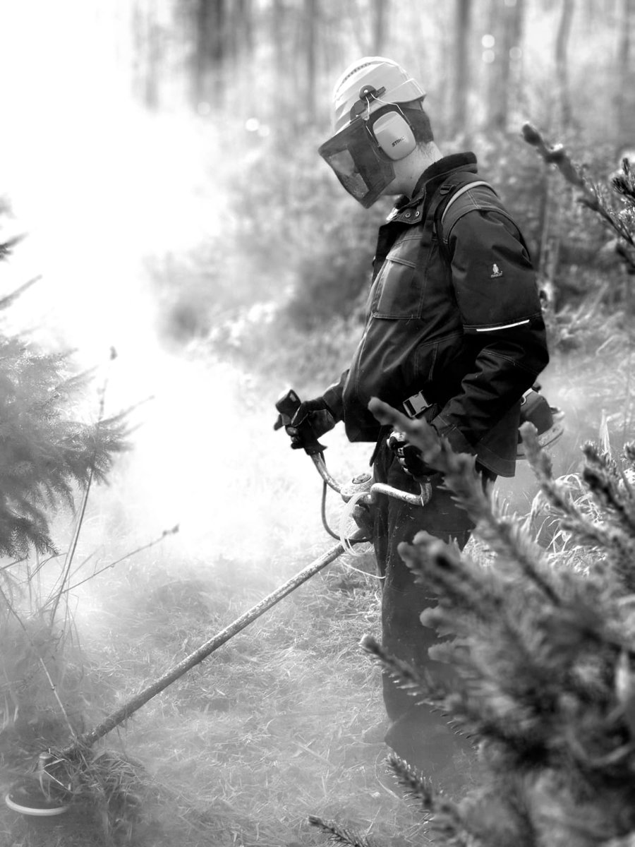 De Groengroep tweet media