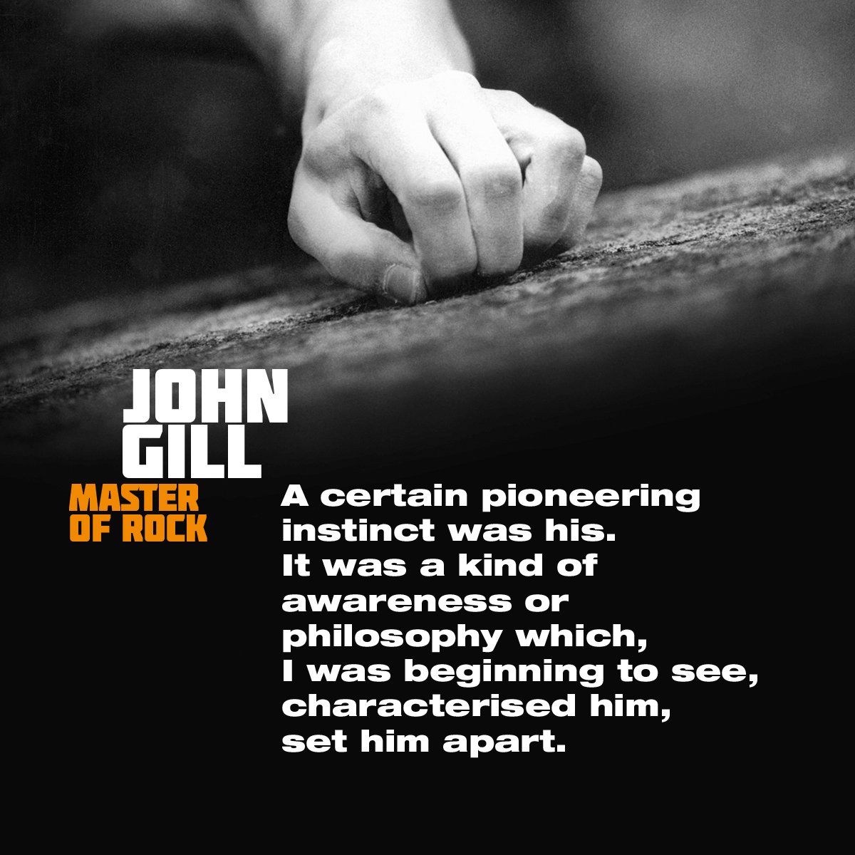 Шиповник, клюква и