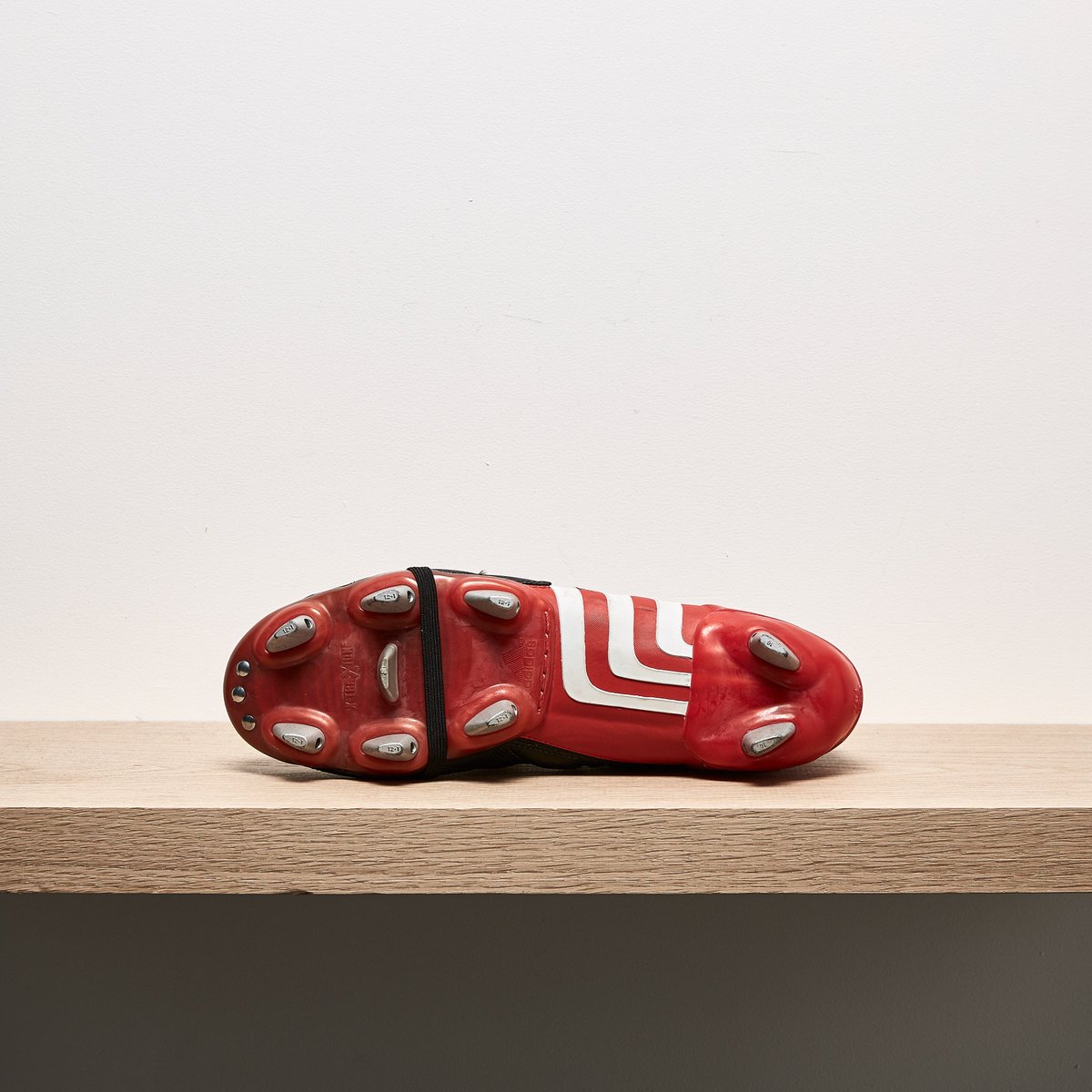 pro direct predator mania