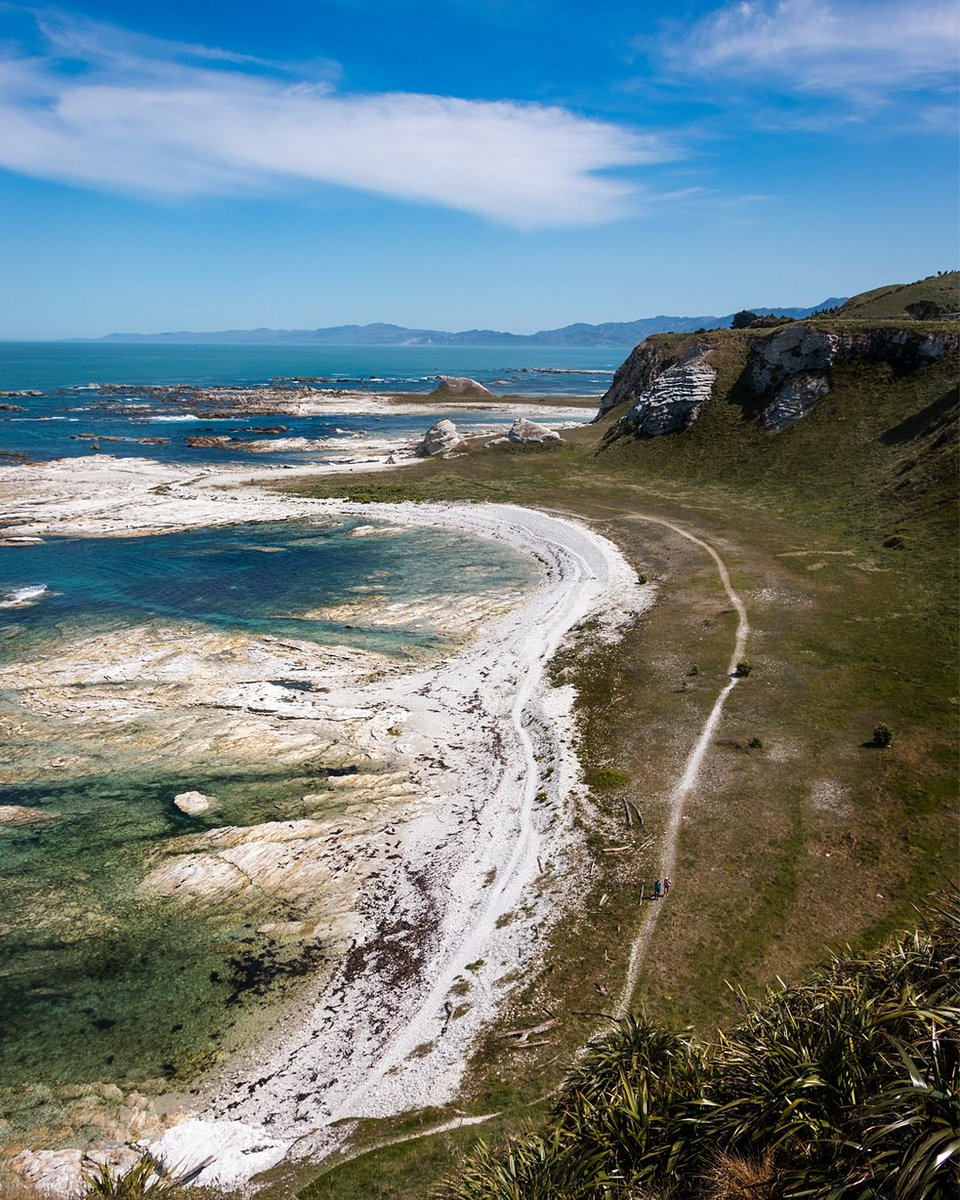 Exploring #newzealand trails and cliff tops.

.
.
#nzmustdo #depthsofearth #special_shots #bestnatureshot #peoplewhoadventure #exploretocreate #travelandlife #nz #bestnewzealand #travelnewzealand #newzealandguide #newzealandvacations