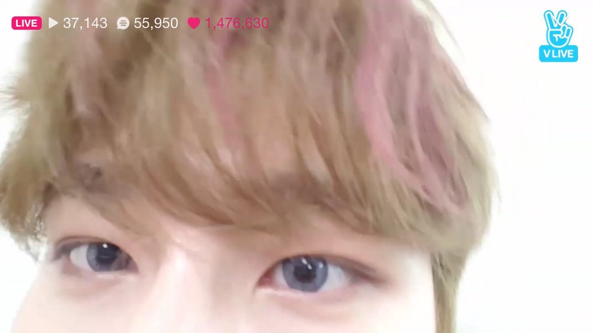 nettie on Twitter: "changkyun's pink highlights on light brown hair was the  softest send tweet https://t.co/rYm7vhHksC" / Twitter