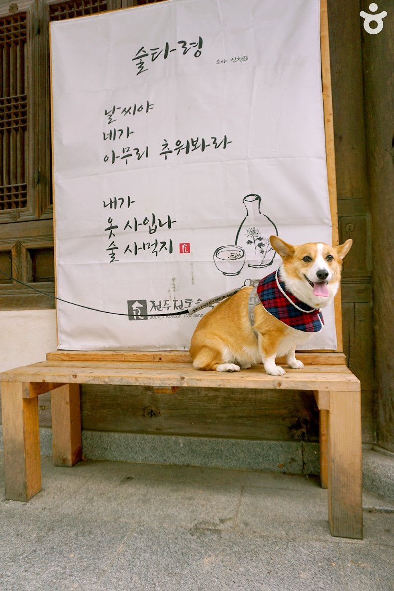 Visit Korea UK tweet media
