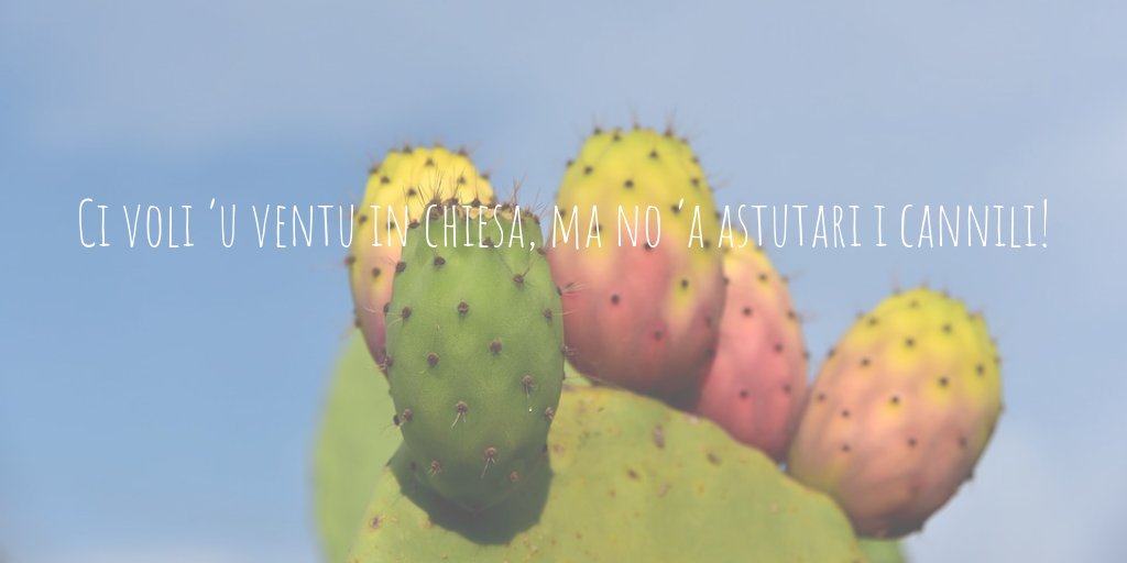 🆕SCOPRI I PROVERBI SICILIANI 🌞
I proverbi siciliani custodiscono saggezze e verità."Ci vuoli ‘u ventu in chiesa, ma no ‘a astutari i cannili!, in italiano: "ci vuole sì il vento in chiesa, ma non da spegnere le candele", è un'esortazione a non esagerare, ad agire con misura!😀