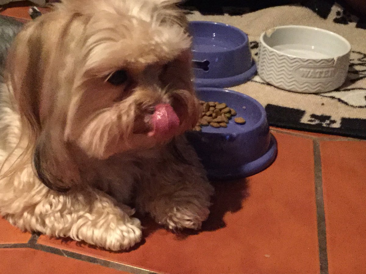 I don’t care if mommy has to go to work, I’m going to take my time eating breakfast this morning!