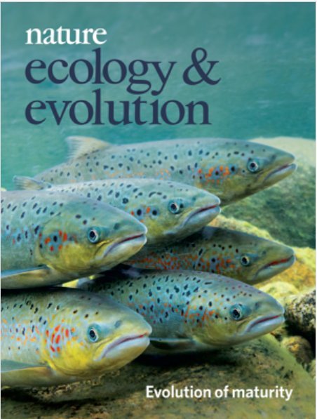 Te­non lo­het pie­ne­ne­vät – no­pea evo­luu­tio nä­kyy gee­neis­sä

helsinki.fi/fi/uutiset/kes… @LukeFinland @JaakkoErkinaro @FishConGen @OEB_Helsinki 
@BIOTECH_UH @evolcongen @SuomenAkatemia #viikkicampus