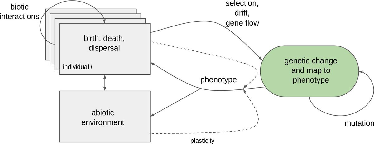 kinetics of enzyme action essential principles for drug hunters 2011