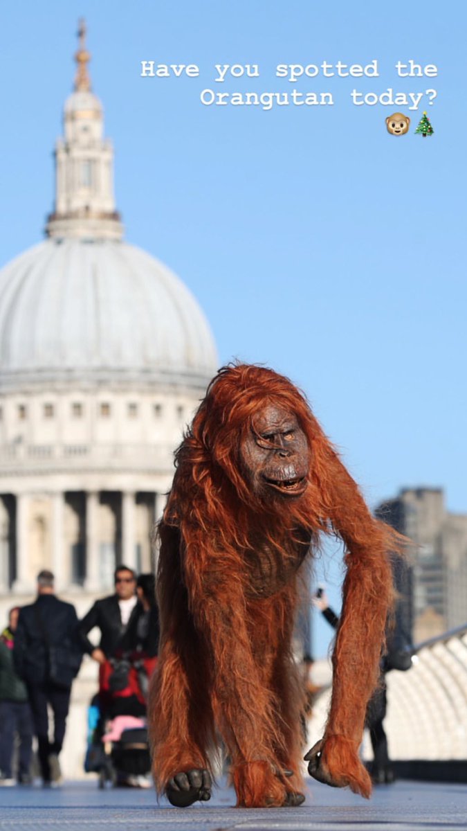 Well done <a href="/IcelandFoods/">Iceland Foods ❄️</a> on an amazing #NoPalmOilChristmas campaign for a great cause 🐵