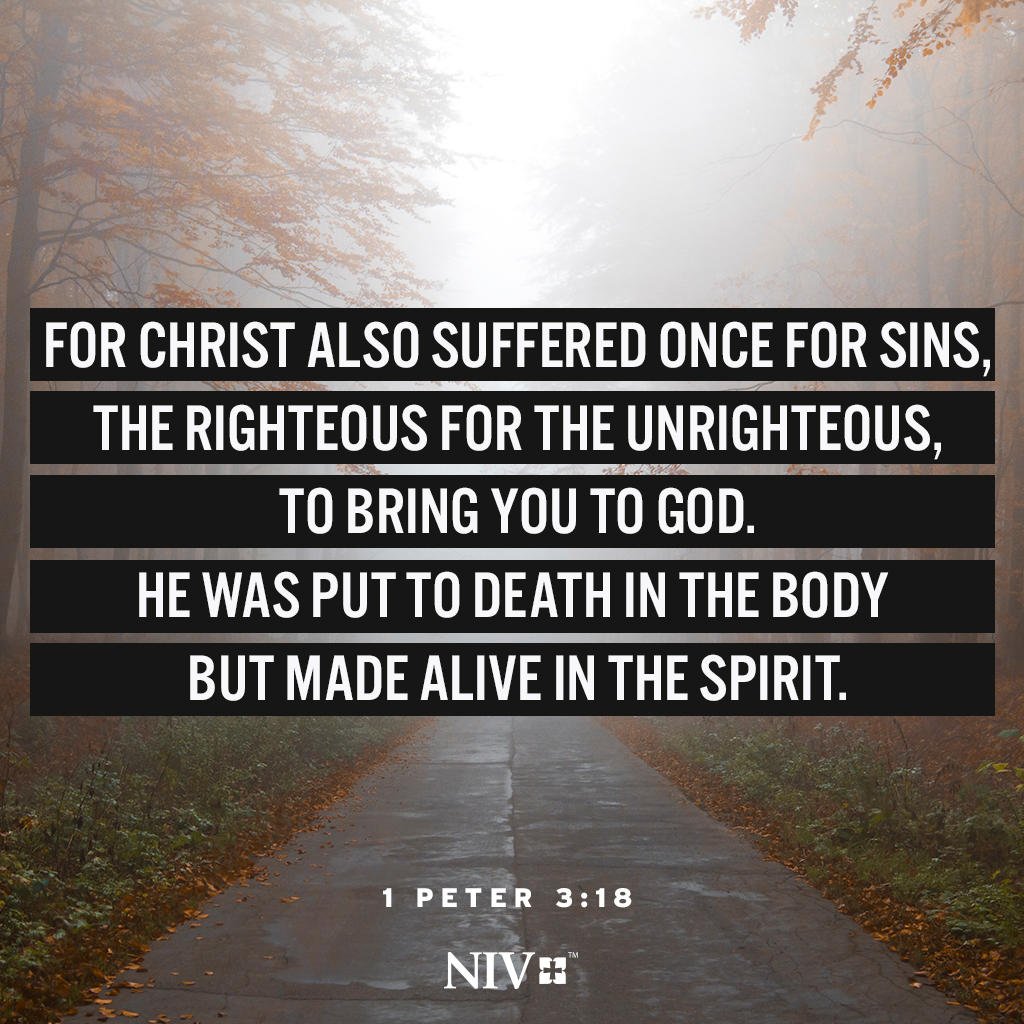 The Bible tweet media