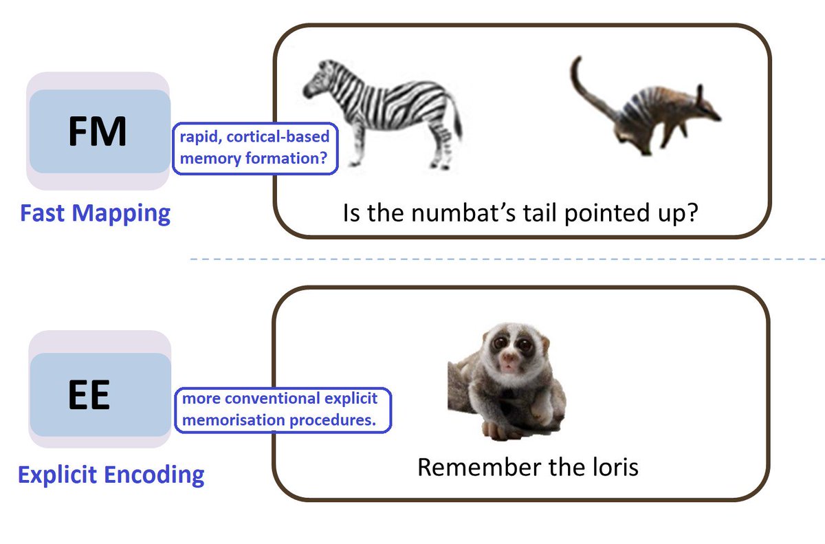 Name: Class: Carnivorous Plants: Convergent and Divergent Evolution Warm-up  Questio, image size:1200x791