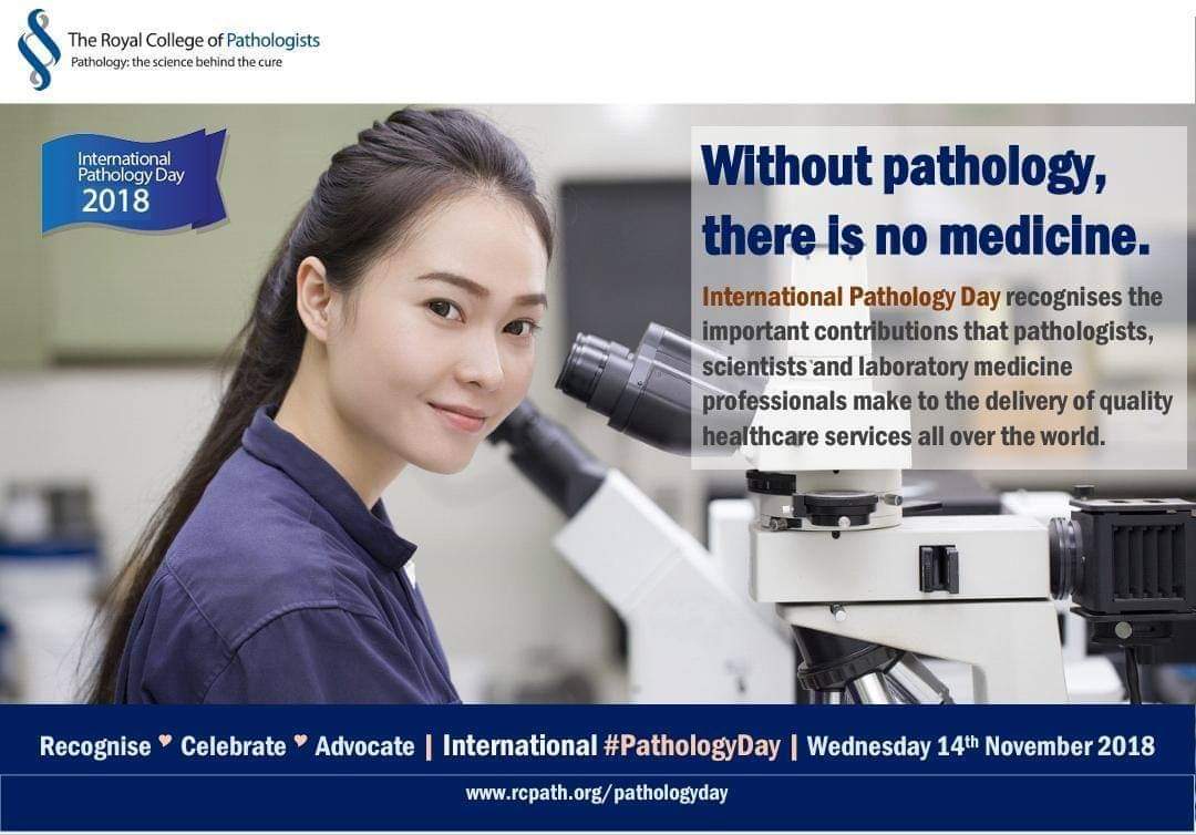 Happy #InternationalPathologyDay! 🔬