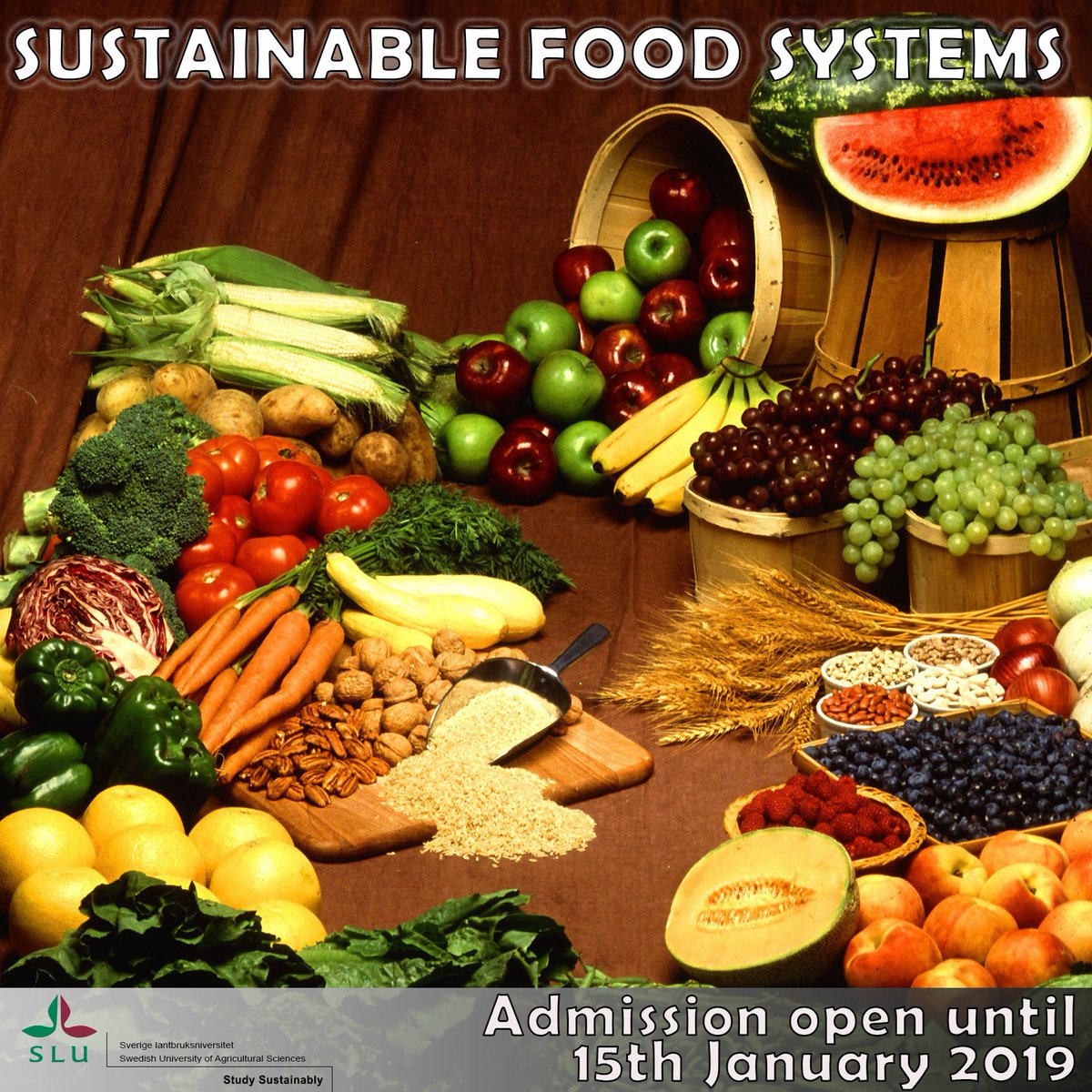 Do you want to work in the food industry or research in food system? Then the master studies in Sustainable Food Systems will give you the required skills and opportunities you are looking for! 
Details: slu.se/en/education/p…
@SLUFutureFood #SustainableFoodSystem #StudyinSweden