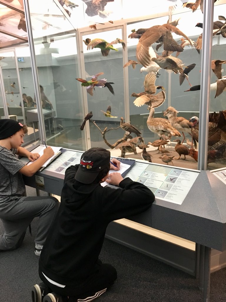 jfr_visualart's tweet image. 