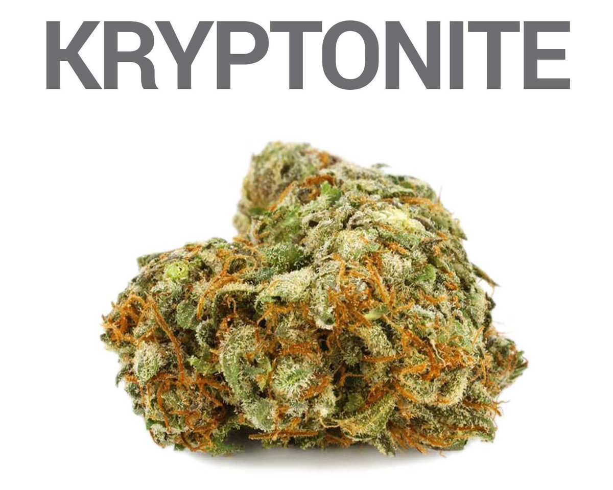 faircannacare's tweet photo. Kryptonite is a heavy-hitting Indica that would even give Superman a hard time! This strain is predominantly a body high with long-lasting couchlock. Excellent for insomnia, depression, chronic pain and stress.

Shop now: https://t.co/BAxbSsTMek https://t.co/wNFOjn7X3H