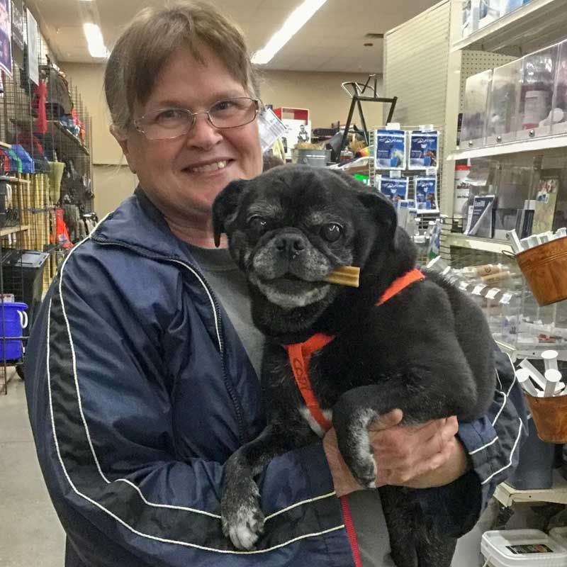 JACKSMFG's tweet image. RT @BigDeeTack We love our store shoppers! Have you stopped in lately and taken a picture? Tag us!
#bigdeestack #showroomshoppers #dogsofinstagram #happycustomers #happyface #bigdeesfamily