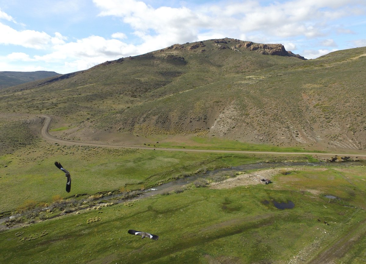 @seis_matters <a href="/lobefringe/">Lobe3</a> The view of the bird attack from the #stratcopter - more syn-rift (top of hill) to post-rift transition in the background - Catan-Lil depocentre - <a href="/Naughty_Onlaps/">Dr Aurelia Privat 🌊</a> stomping ground.