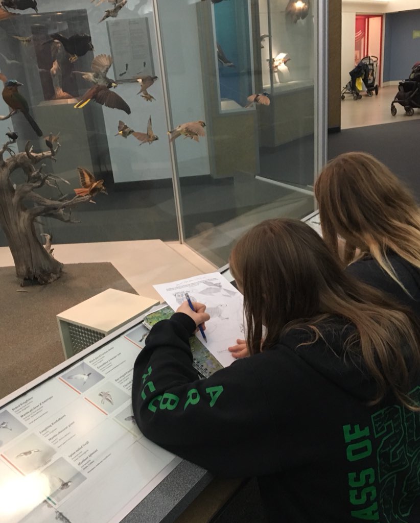 jfr_visualart's tweet image. Drawing at the Rom! :)