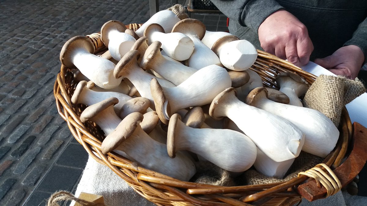 Fresh #mushrooms from local farmer #Nonsuchshrooms. Only today.