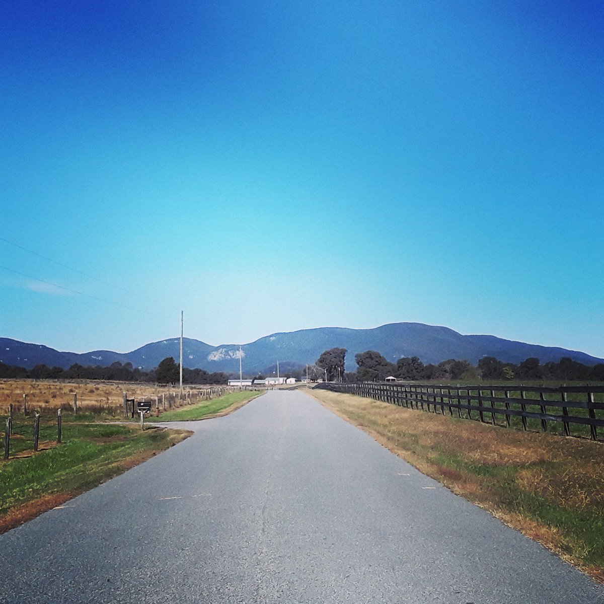 TomRaySparrow1's tweet image. Keep your gaze focused in life, and the rollicoaster called life will be just a fun ride at worst, and the most thrilling adventure at best! #golivelife