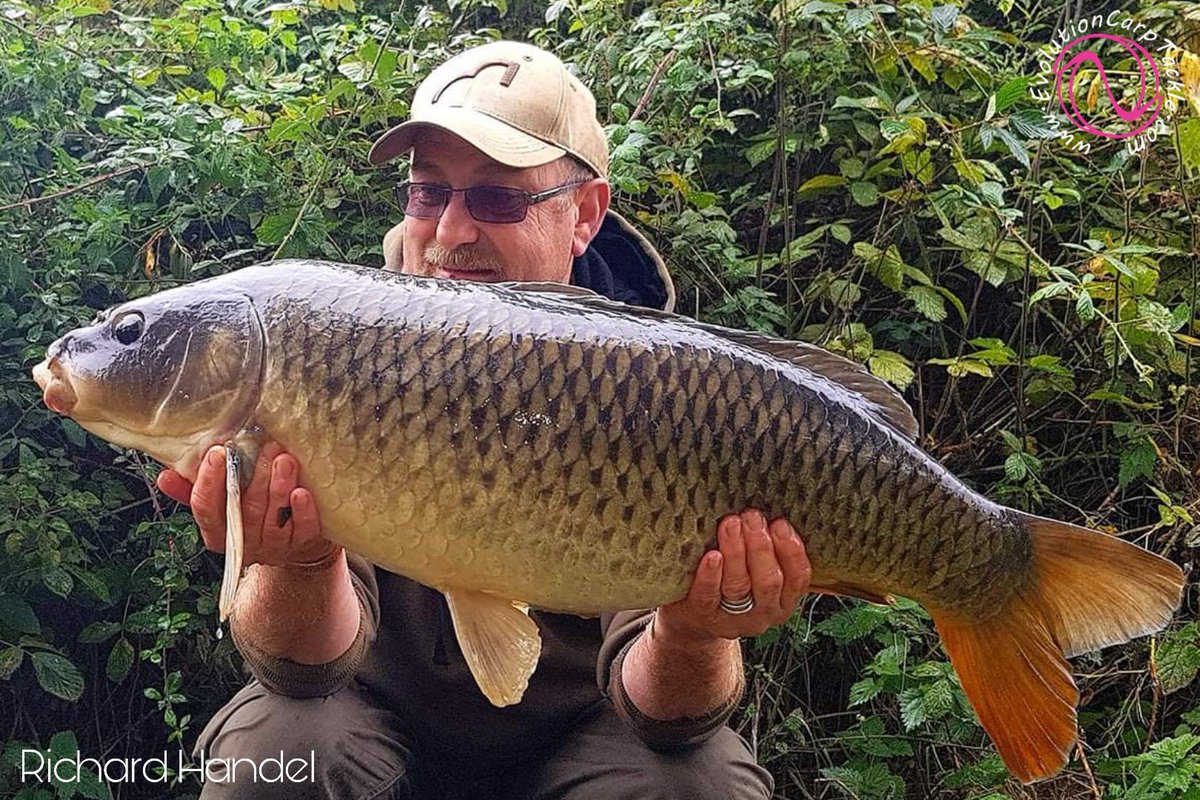 EvoCarpTackle's tweet photo. A pukka weekends fishing for team member @richard_handel with carp of 22lb1oz, 37lb2oz, 29lb8oz and all Commons. Landed, weighed, and released, in the NSR system.  

https://t.co/pJQKNvDNOj #EvolutionCarpTackle #Evolve® #ArtificialBaits #NSR® #TotalFishCare #LastElementsRange https://t.co/rexRTLte7n