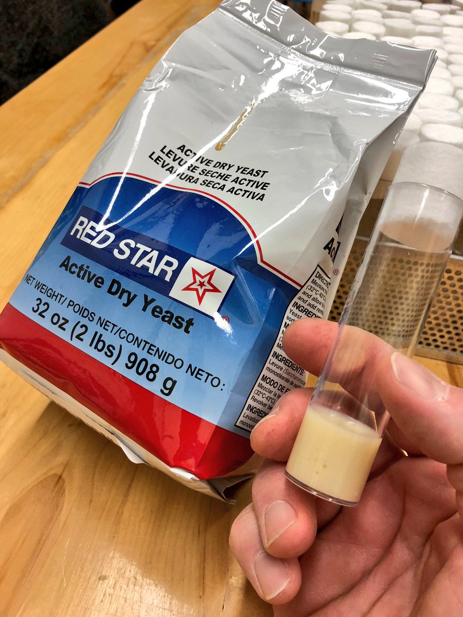 tjsmerritt's tweet photo. Fly People - my lab wants to try a new fly food that includes Brewers Yeast.
Can I swap in Bakers Yeast? Does the nutritional additive “Brewers Yeast” work?
#Drosophila #flyfood #thisshouldntbesohard https://t.co/mNWEuMTUBp