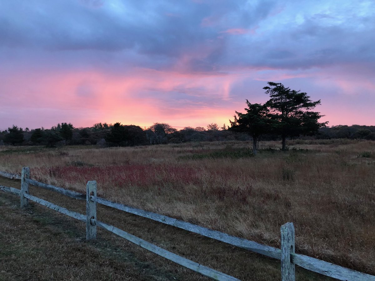 grib1's tweet photo. Good morning Nantucket. Let’s do some more math. #ACKME2018 ⁦@mgneubert⁩ ⁦@fishy_chrissy⁩ ⁦@seb_schreiber⁩ https://t.co/KtqVcA6RPj