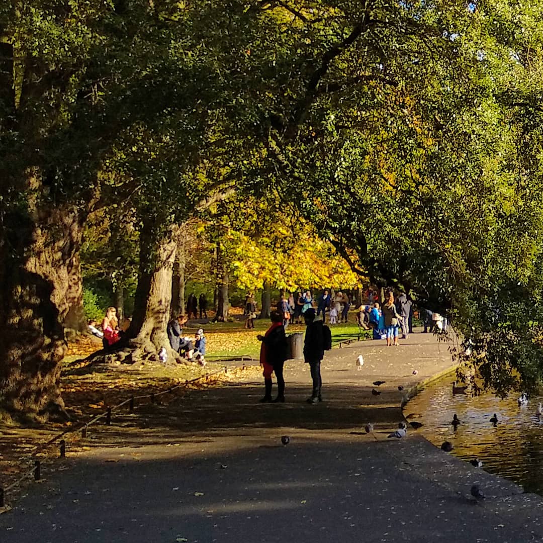 Autumn walk in St. Stephens Green #Autumn #photography #StStephensGreen #Dublin #LoveDublin #loveireland #ThePhotoHour #500pxrtg @VisitDublin @LovinDublin @DiscoverIreland @GoToIrelandUS @deric_tv @PhotosOfDublin