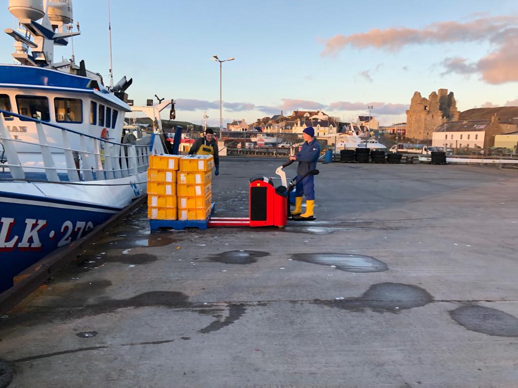 Shetland Seafood Auctions tweet media