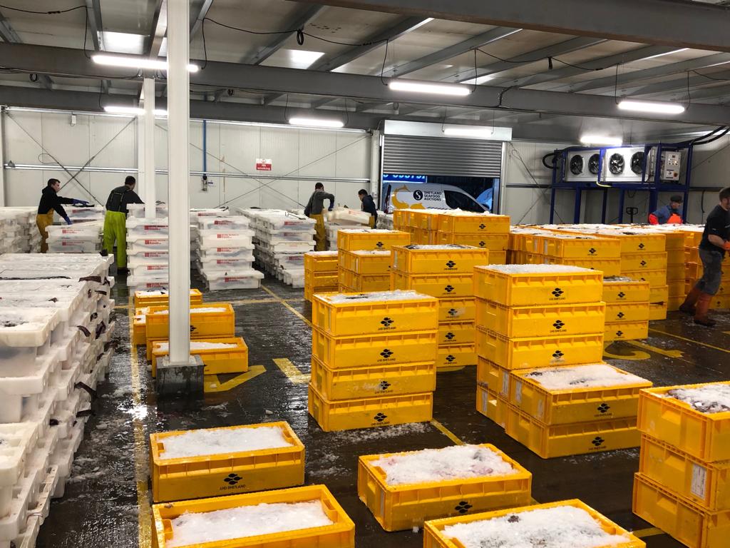 Shetland Seafood Auctions tweet media