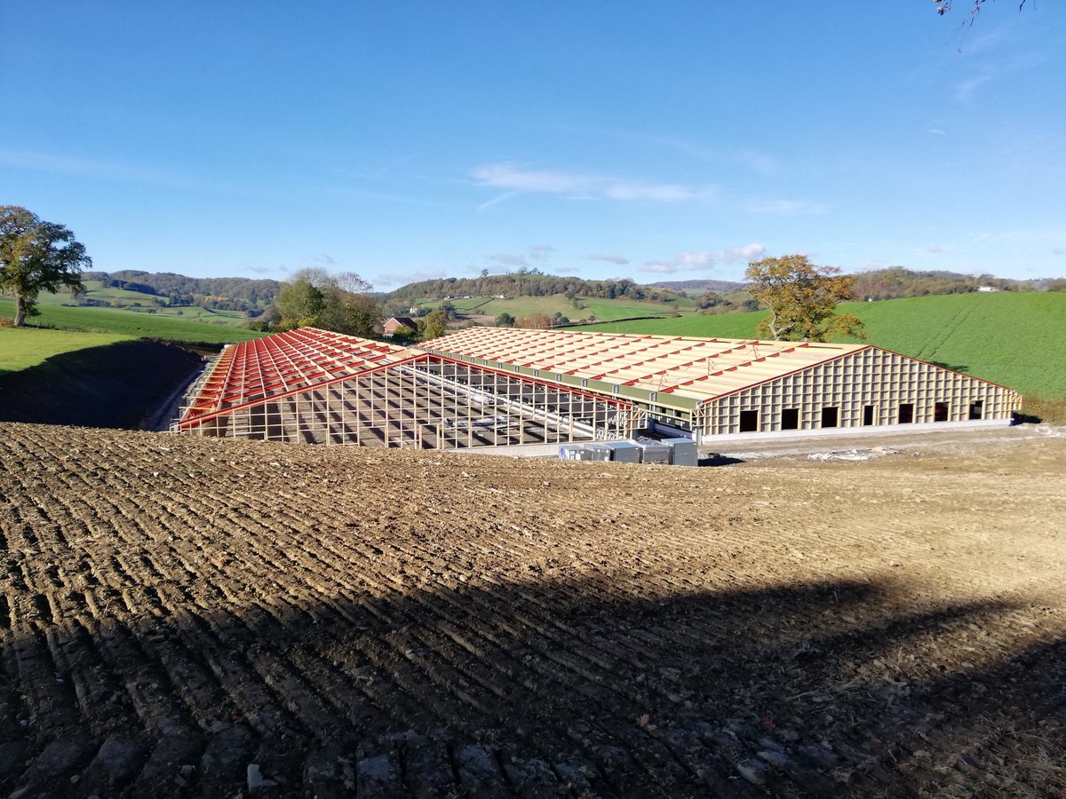 Powell & Co Construction Ltd tweet media